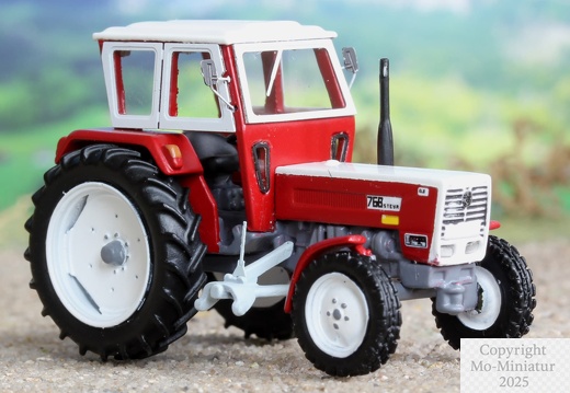 Ausschnitt IMG 3936 Steyr 768