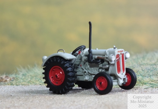 Hürlimann D50 H0 mit Hintergrund